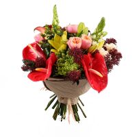  Bouquet Ambrosia placer
														