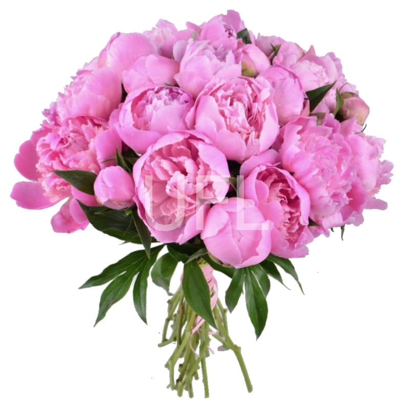 Pink peonies 406 $