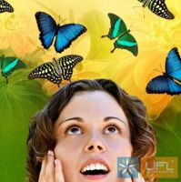 Салют з 10 метеликів Донецьк