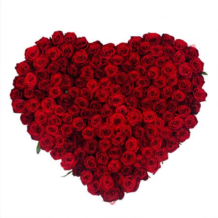 Rose heart (145 roses) Le Bouscat