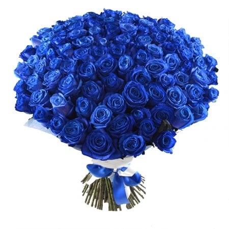 101 blue roses Kiev