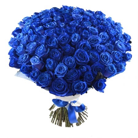 101 blue roses