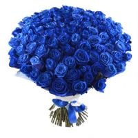 101 blue roses Abay