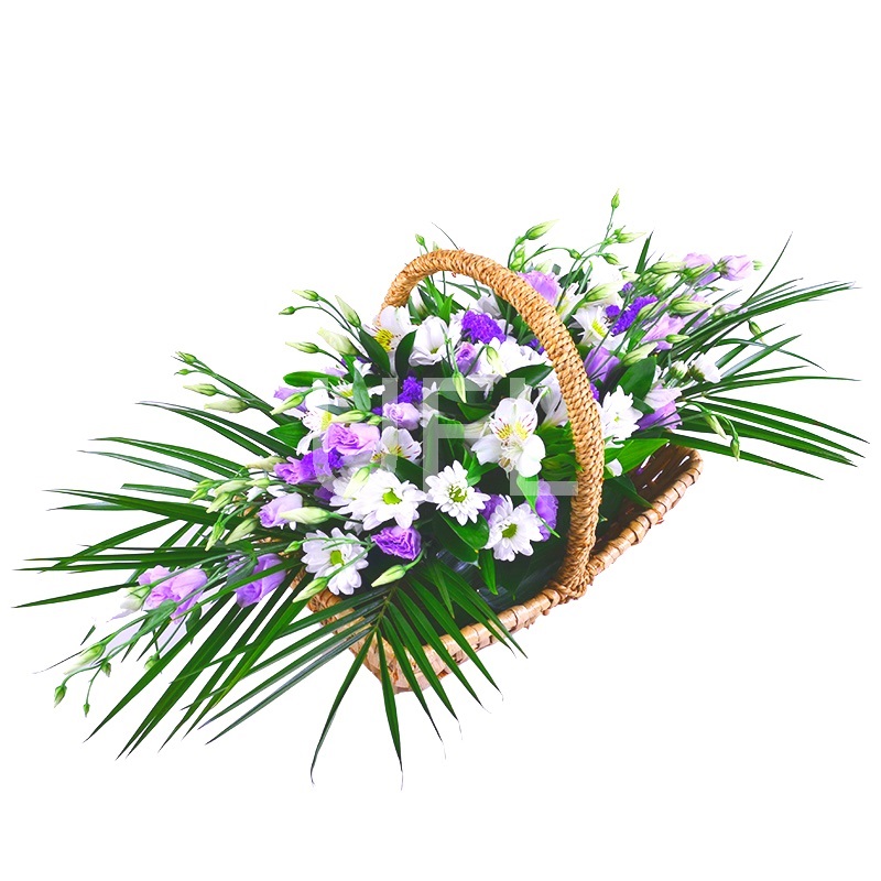 Созвездие Кей Вест
