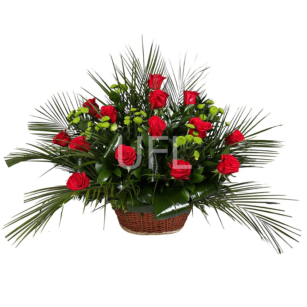 Funeral arrangement Feniks