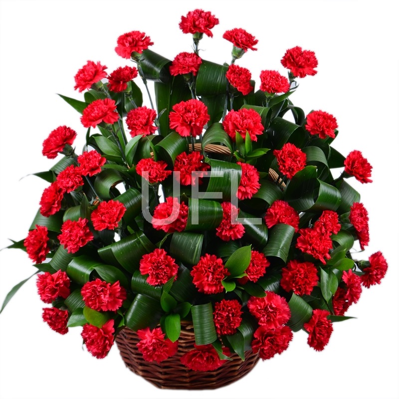 Funeral basket of carnations Funeral basket of carnations