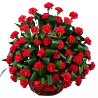 Funeral basket of carnations