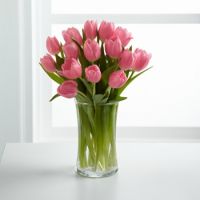 Тюльпани + ваза Ташкент