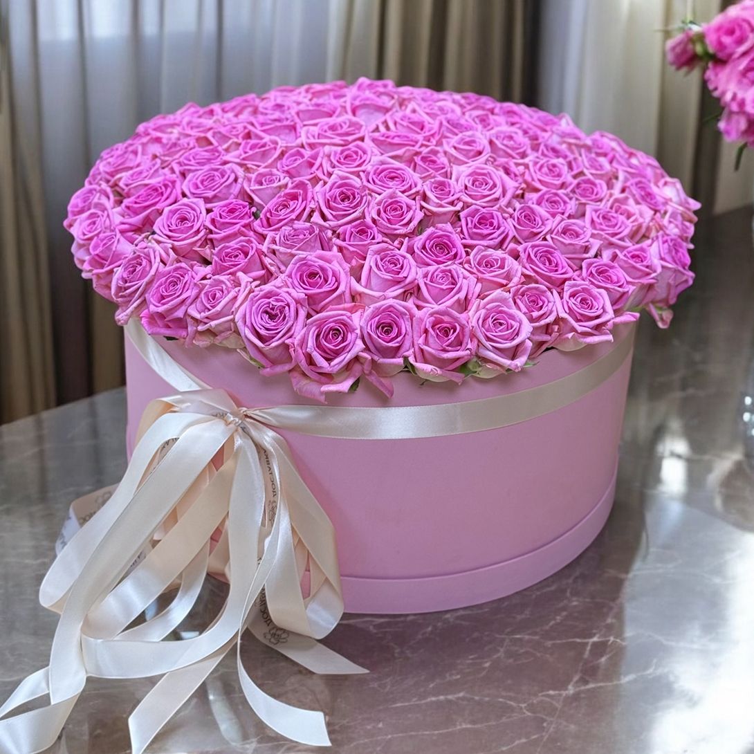 101 pink roses in a box, Cartagena