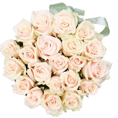 Cream roses in a box Zaporozhie