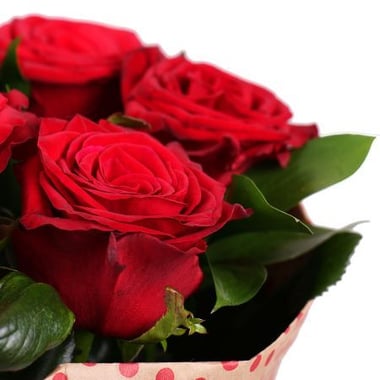 7 красных роз - Признание Асколи Пиченно