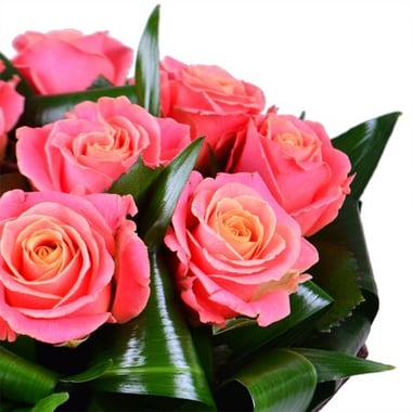 Букет цветов Гармония 9 роз Варвинск