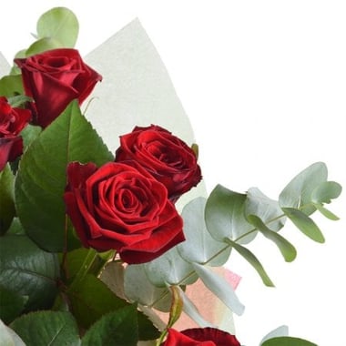 Классический комплимент 11 роз Дубровно