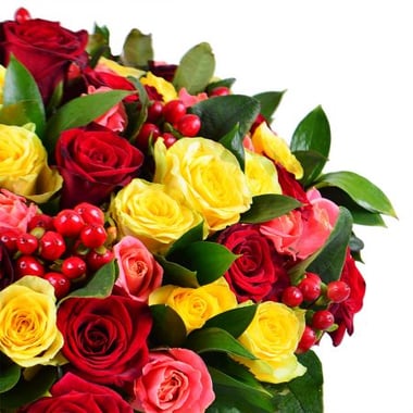 100 разноцветных роз Александрия (Украина)