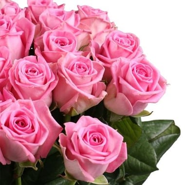 Быть с тобой 25 розовых роз Пеша