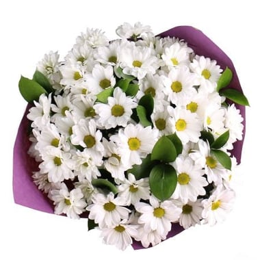 Bouquet of chamomiles Zaporozhie