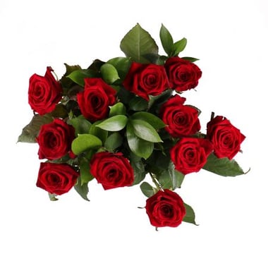 11 красных роз 70см Дубровно