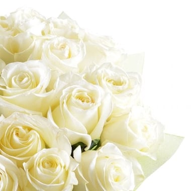 Белый шелк 25 роз signature Упплэндс Васби