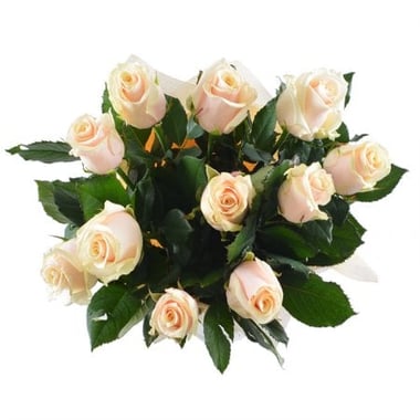 Августин 11 кремовых роз Щелкино