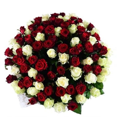 101 красно-белая роза Одинцово