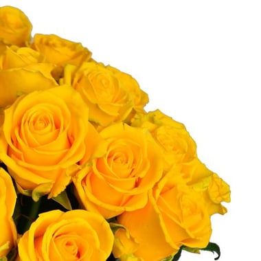 101 желтая роза Упплэндс Васби