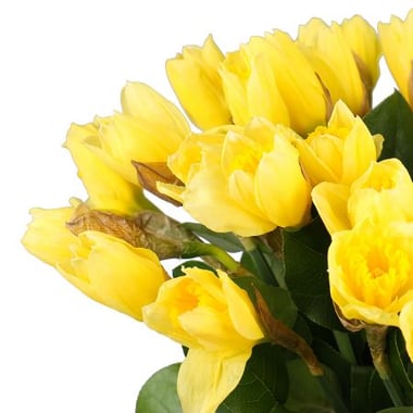 Bouquet of daffodils (35 pcs.) Kiev