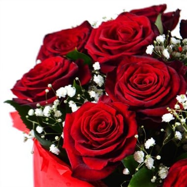 Розы с гипсофилой 15 шт Дубровно