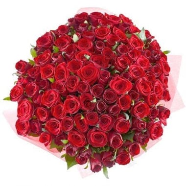 101 алая роза 60 см Дубровно