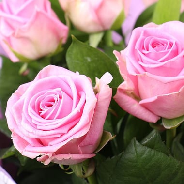 Из 9 розовых роз Куворден