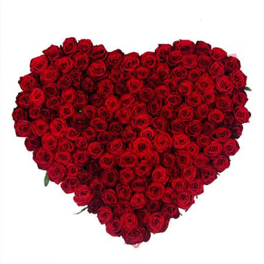 Сердце из роз (145 роз) Шишаки