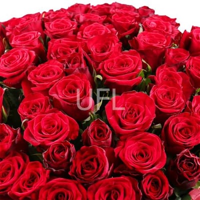 1000 roses - 1001 red roses  Simferopol