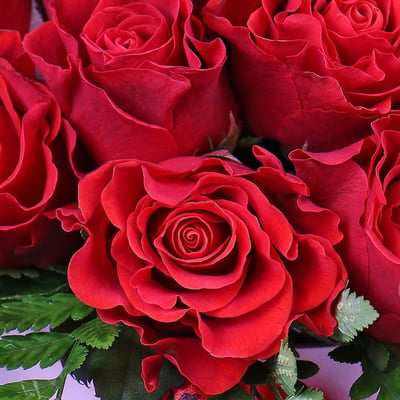 Красные розы в коробке Альморади