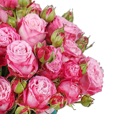 Розовые кустовые розы в коробке Шишаки