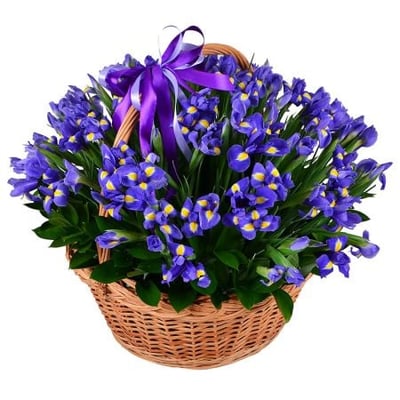 101 blue iris Simferopol