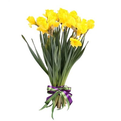 19 daffodils Kiev