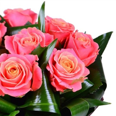 Букет цветов Гармония 9 роз Хагерстоун