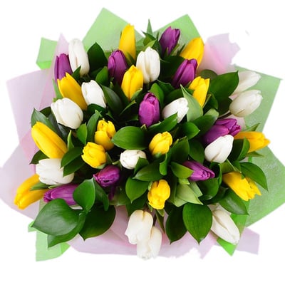  35 tulips Kiev