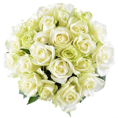 Бриллиант - Бизнес букет - Розы белые 25 шт Аяччо