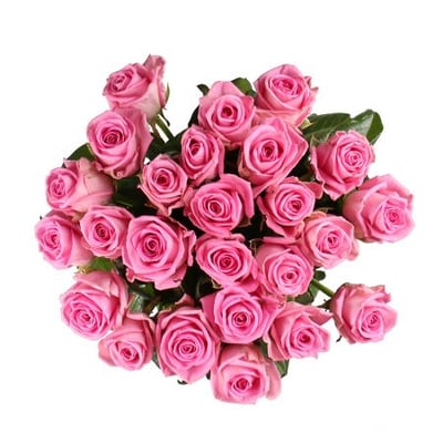 Быть с тобой 25 розовых роз Ним