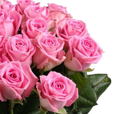 Быть с тобой 25 розовых роз Нивеллес