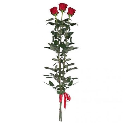 3 красные розы (80 см) Киев