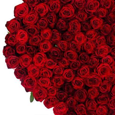 Сердце из роз (145 роз) Фаэтано