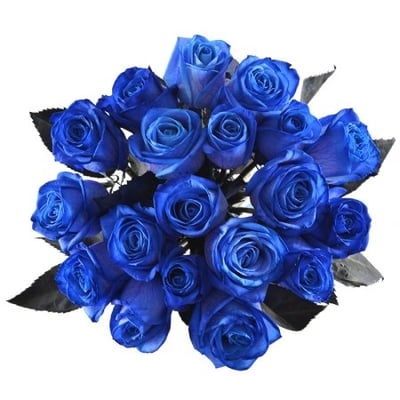 Meta - Синие розы Кэнтон