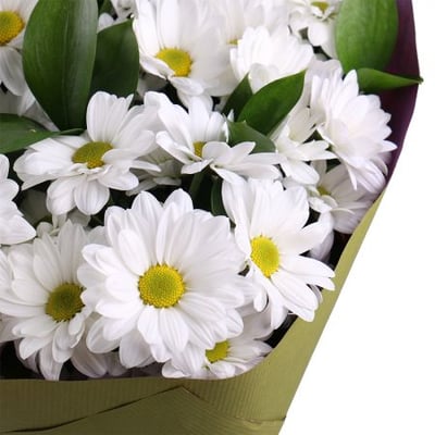 Bouquet of chamomiles Simferopol
