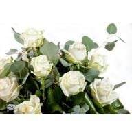 Цветы поштучно белые розы Мантова