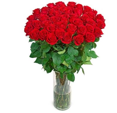 Букет «Роскошный» (51 роза, 1 метр) Симферополь