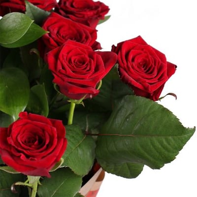 11 красных роз 70см Фаэтано