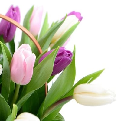 Весенний рассвет 25 тюльпанов в корзине Прилуки