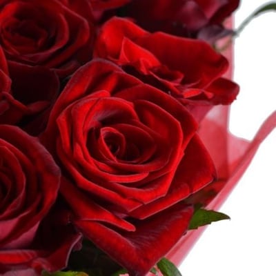 Букет 25 красных роз Галена