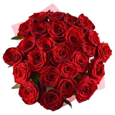 Букет 25 красных роз Буффало
